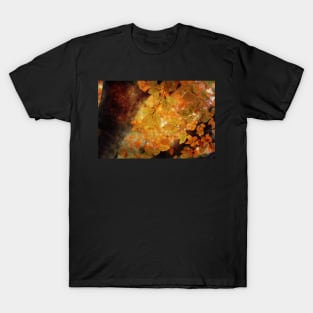 Warmth T-Shirt